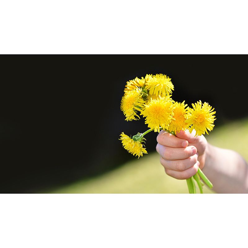 Customized Beautiful Bouquet Mural Horizontal Photography for Sleeping Room Decoration