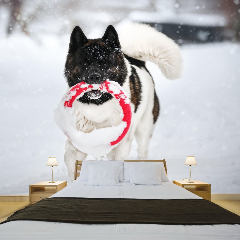 Horizontal Photography Akita Dog Mural Stain Resistant Wall Art for Living Room