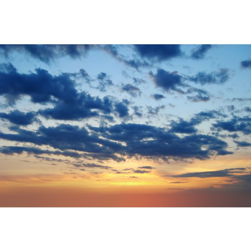 Splendid Evening Glow Mural Wallpaper for Living Room, Dark Color, Personalized Size