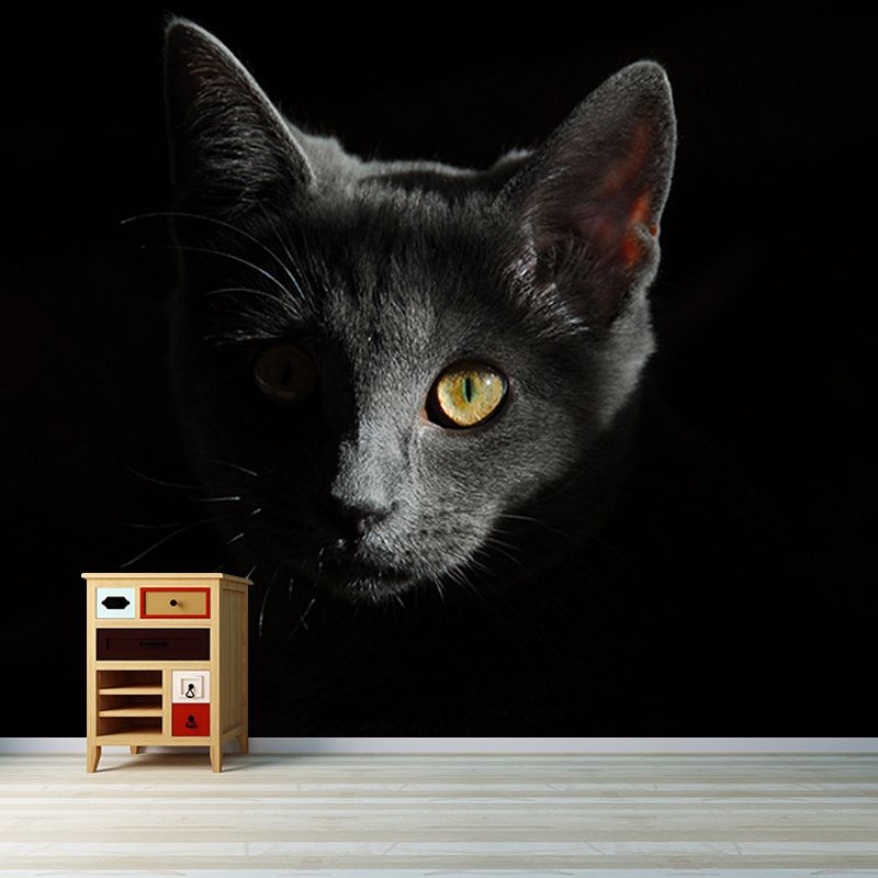 Photography Stain Resistant Mural Wallpaper Cute Cats Indoor Wall Mural