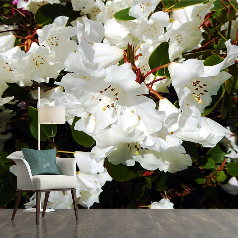 Rhododendron Wall Mural for Guest Room Bedroom, Personalized Size Available
