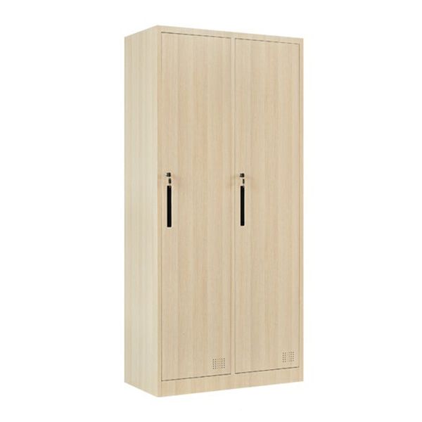 Modern Metal Wardrobe for Home Matte Finish Cabinet with Hinged Doors