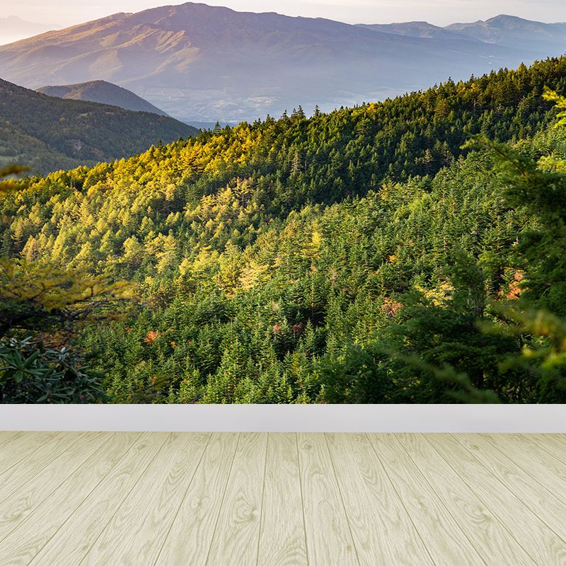 Contemporary Mountain Mural Wallpaper Photography Horizontal for Bedroom