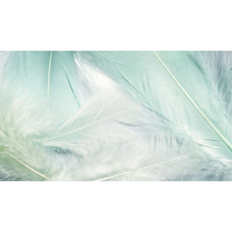Photography Mural Wallpaper Environment Friendly Feather Indoor Wall Mural