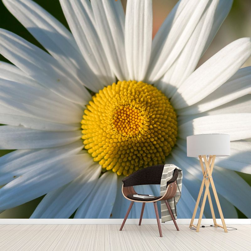 Customized Close Up Daisy Mural Environment Friendly Wallpaper for Guest Room