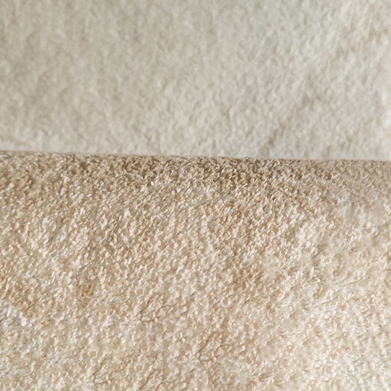 Beige Rug Polyster Area Carpet Non-Slip Backing Easy Care Indoor Rug for Home Decor