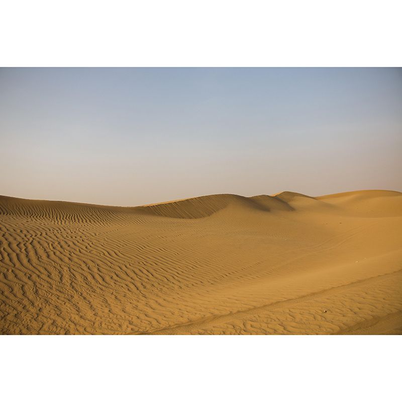 Modern Desert Mural Wallpaper Mildew Resistant Bedroom Wall Decor