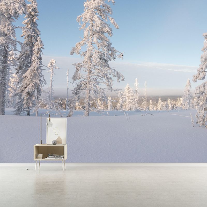 Contemporary Photography Style Forest Mural Wallpaper Mildew Resistant for Home