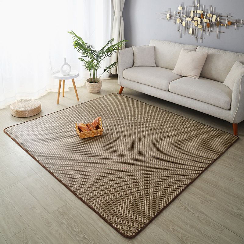 Brown Country Area Rug Sisal Pure Color Rug Stain Resistant Rug for Living Room