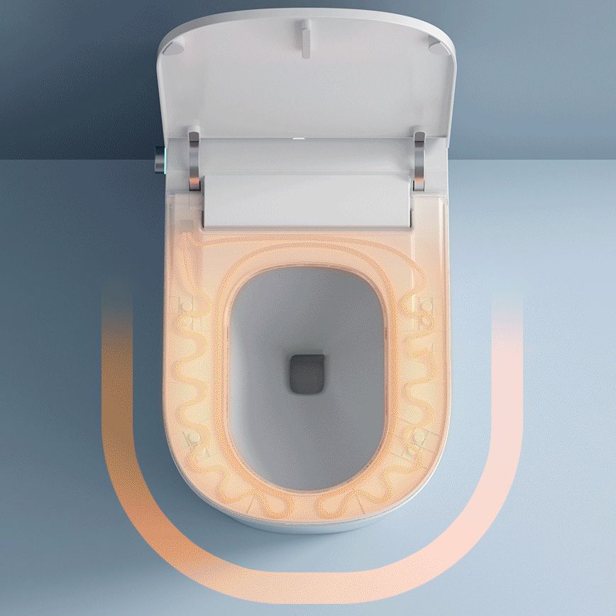 Modern Skirted Toilet Bowl Siphon Jet Toilet with Soft-Close Seat for Bathroom