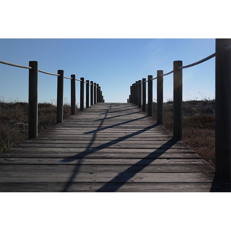 Photography Space Extension Decorative Mural Environment Friendly for Room