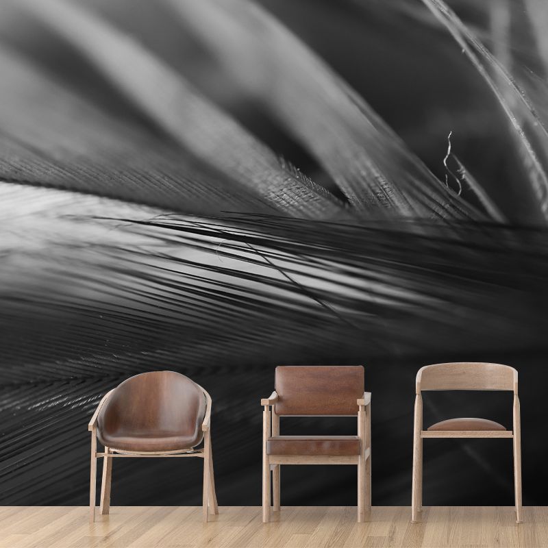 Modern Fluffy Feather Wall Murals for Living Room Gust Room, Water Resistant