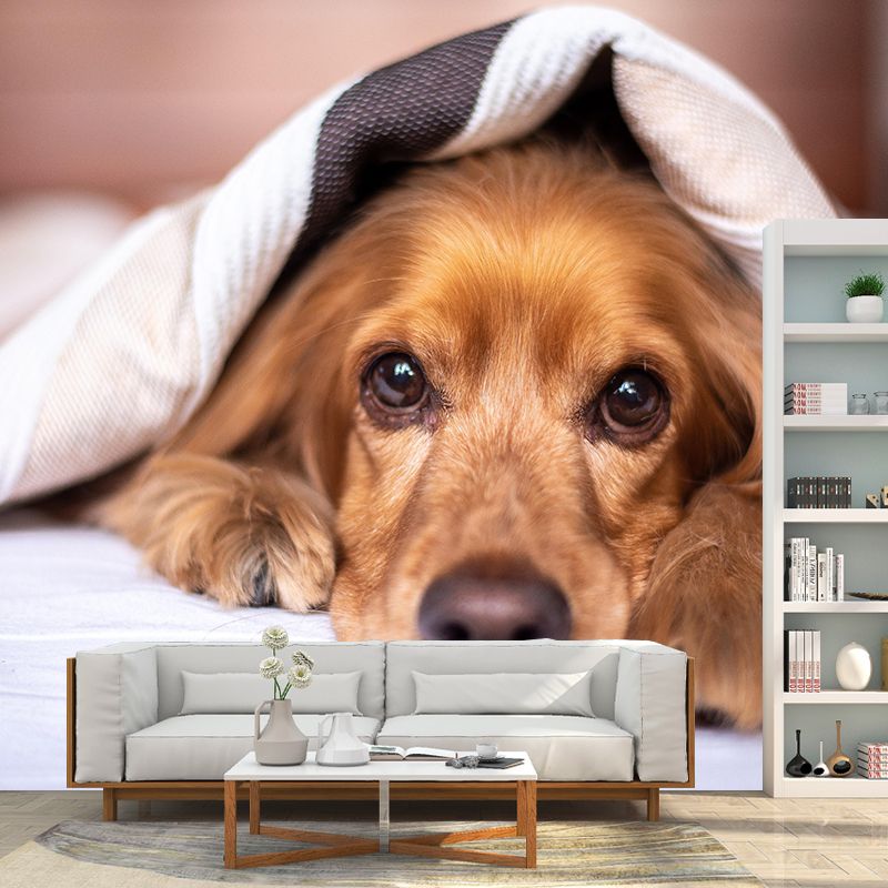 Horizontal Photography Cocker Spaniel Mural Stain Resistant Wall Art for Living Room