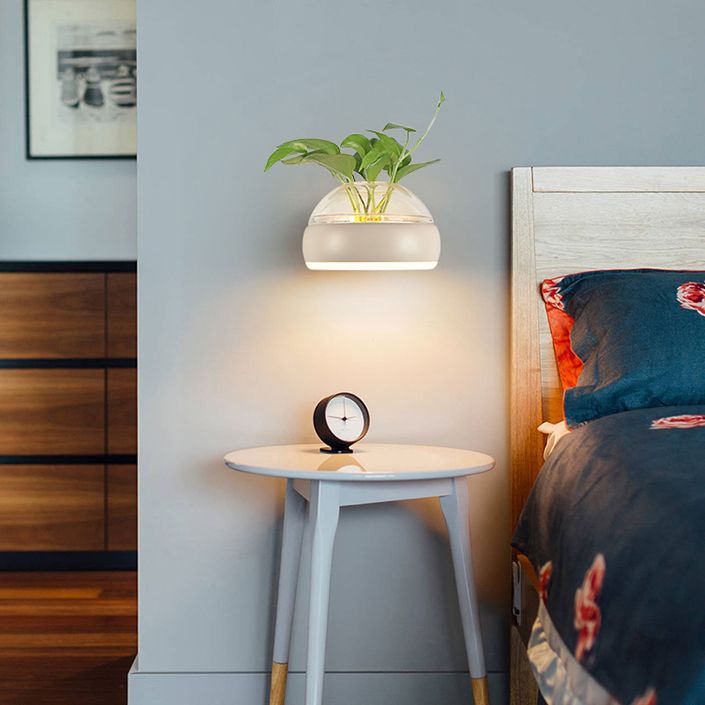 Modern Creative Plant Wall Sconce Light Glass Pot with Acrylic LED Wall Mount Lamp