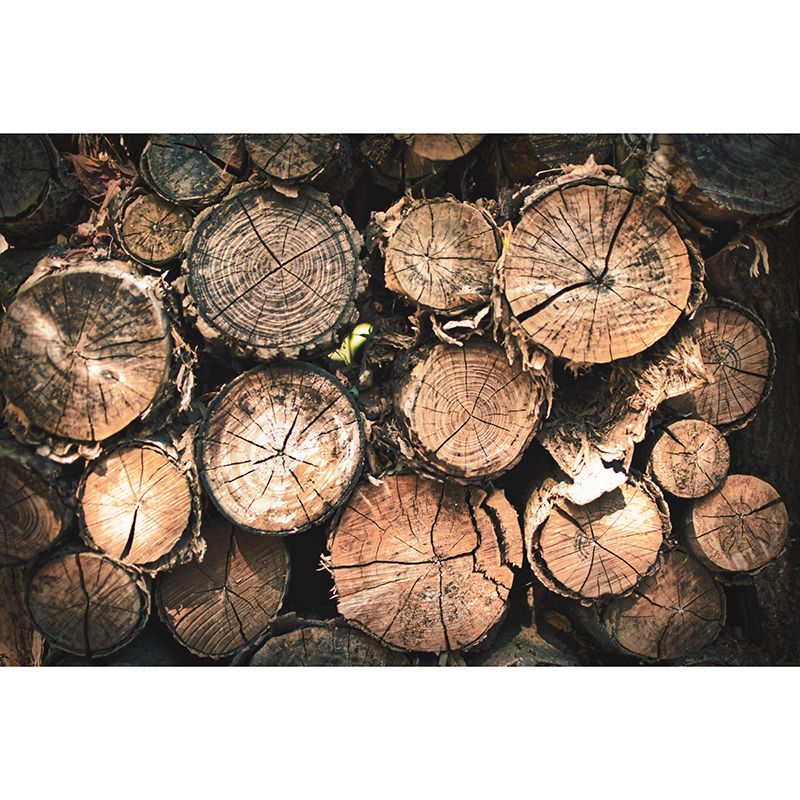 Horizontal Photography Industrial Wood Grain Mural Wallpaper Room Wall Art