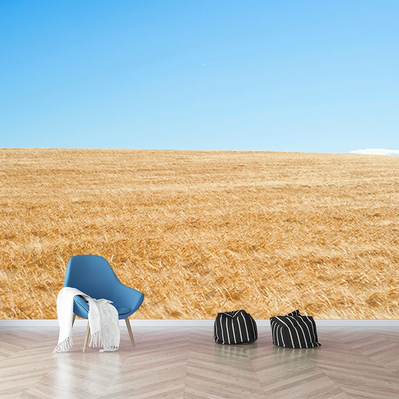 Wheat Field Mildew Resistant Wallpaper Photography Sleeping Room Wall Mural