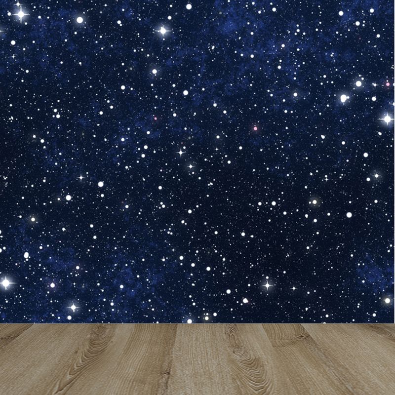 Night and Star Sky Mural Modern Smooth Wall Art in Dark Color for Children Bedroom
