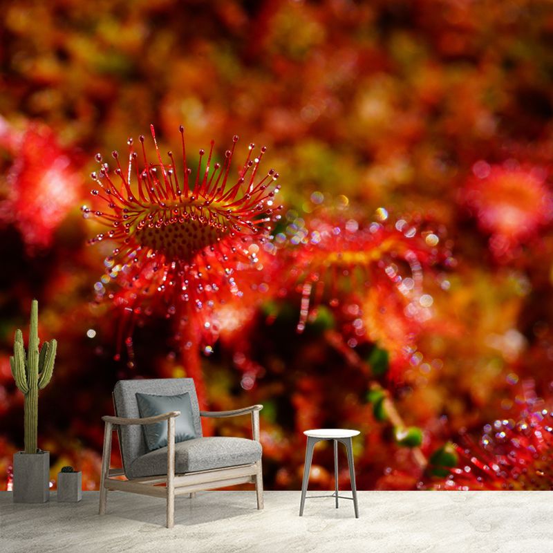 Contemporary Round Leaved Sundew Mural Environment Friendly Wallpaper for Bedroom