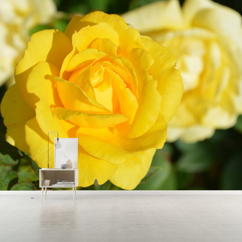 Customized Rose Wall Mural Environment Friendly Wallpaper for Guest Room Decoration