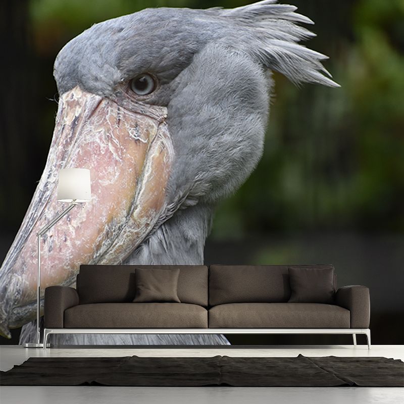 Pelican Animal Mural Wallpaper Contemporary Wall Covering for Sitting Room