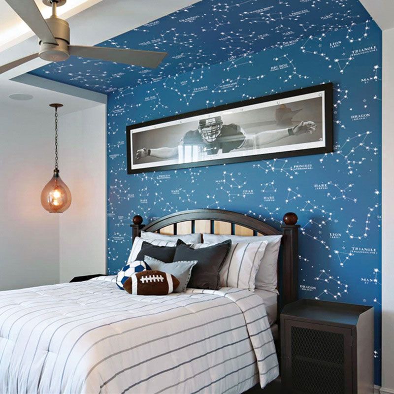 Décoration murale contemporaine horoscope pour chambre de garçon, papier peint 31'L x 20,5"W de couleur bleue