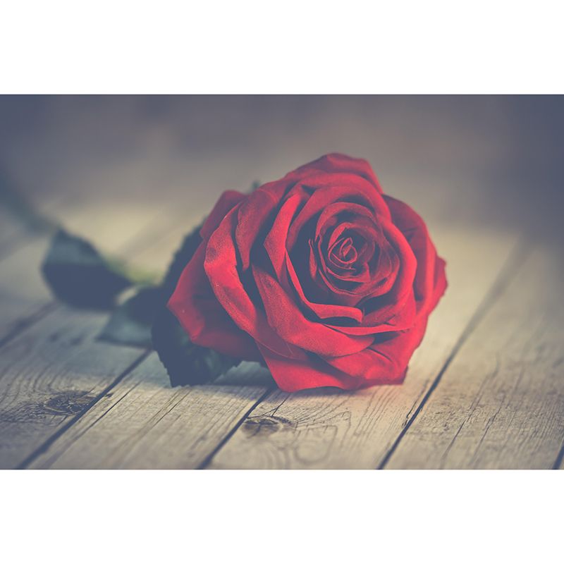 Contemporary Rose Wall Mural Mildew Resistant Soft Color Wall Art for Living Room