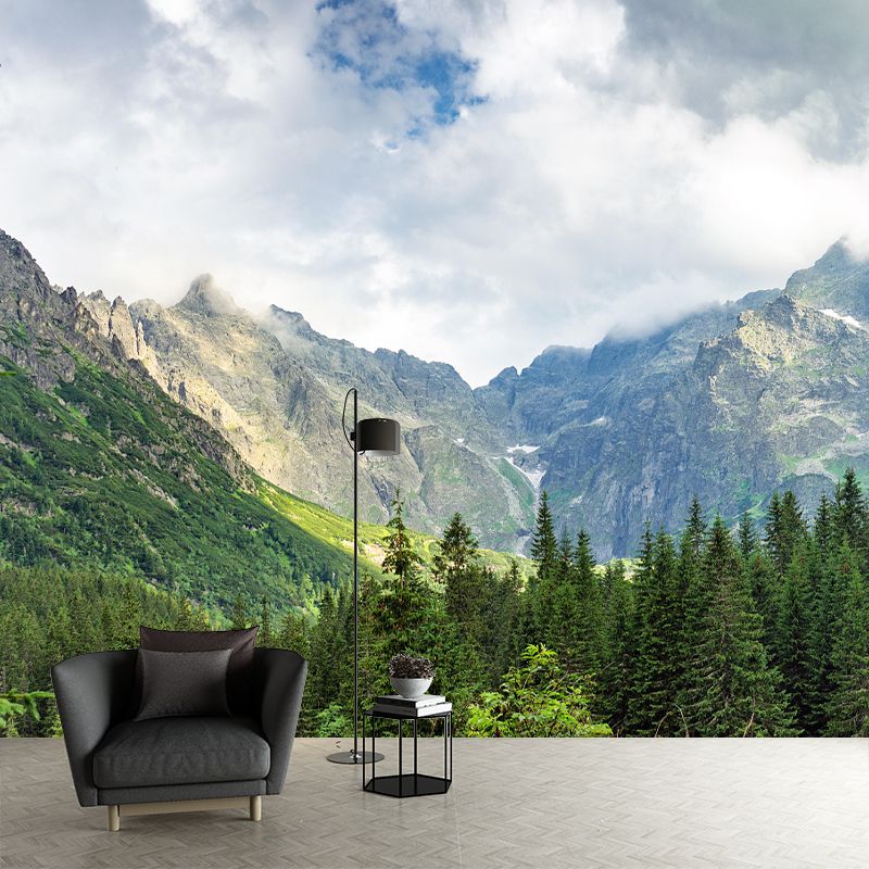 Modern Mountain Environment Friendly Mural Wall Covering for Sleeping Room