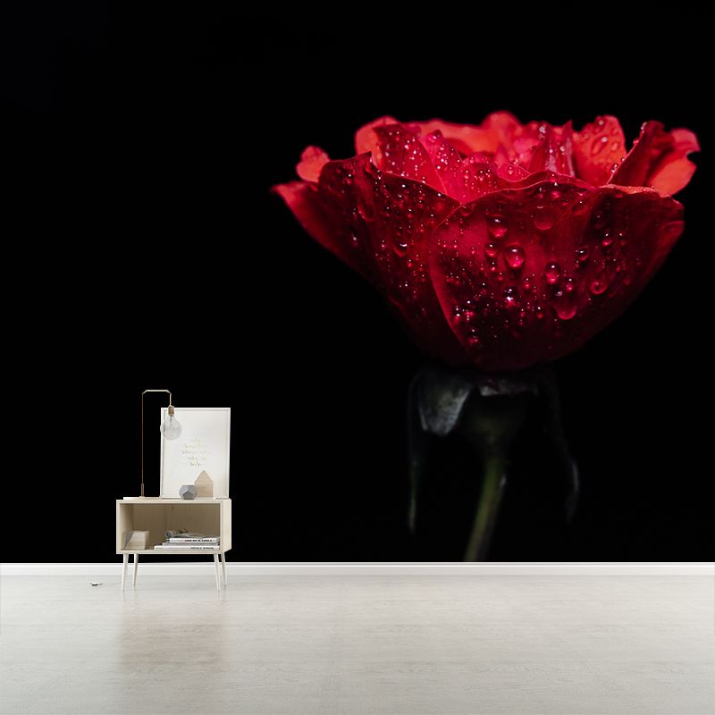 Photography Stain Resistant Wall Mural Wallpaper Roses Sitting Room Wall Mural