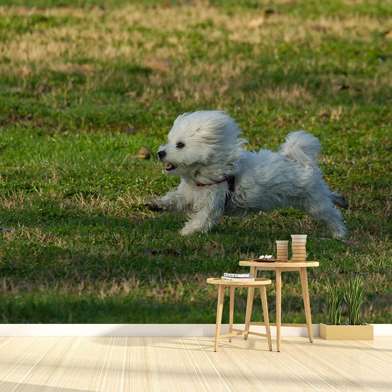 Different Kinds Dog Mural Decal Customized Modern Wall Covering for Bedroom