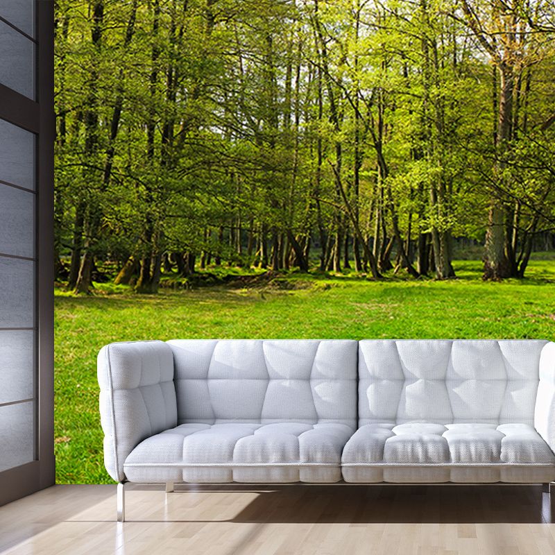 Forest Customized Mural Wallpaper Contemporary for Living Room Bedroom Decor