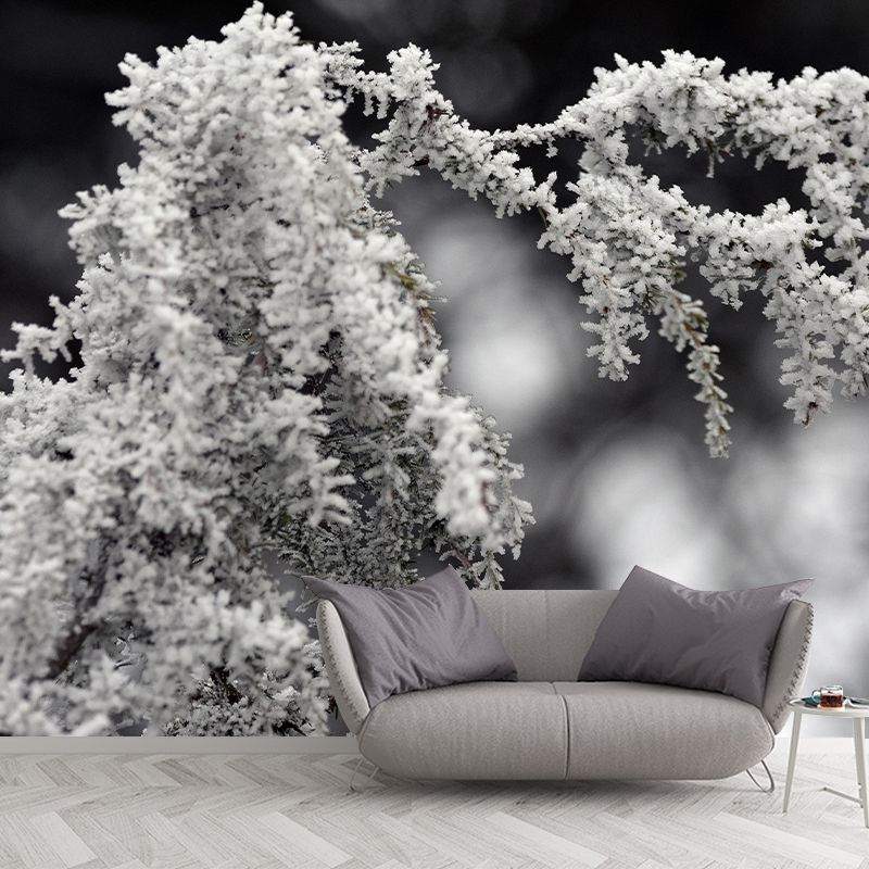 Customized Juniper Wall Mural Stain Resistant Eco-friendly Wallpaper for Living Room