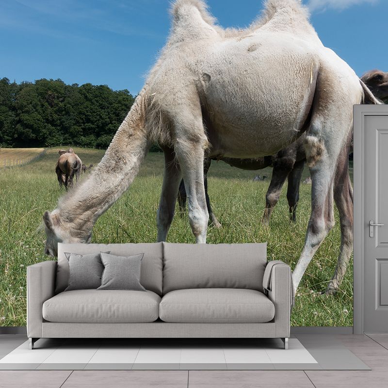 Desert Camel Wallpaper for Bedroom, Waterproofing, Custom Size Available