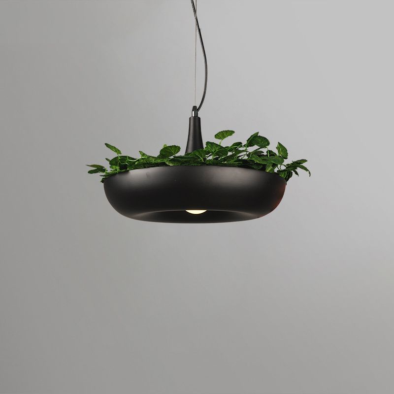 Industriële verfrissende planten hanglampen plafondlampen creatief een enkele licht hanglamp voor coffeeshop