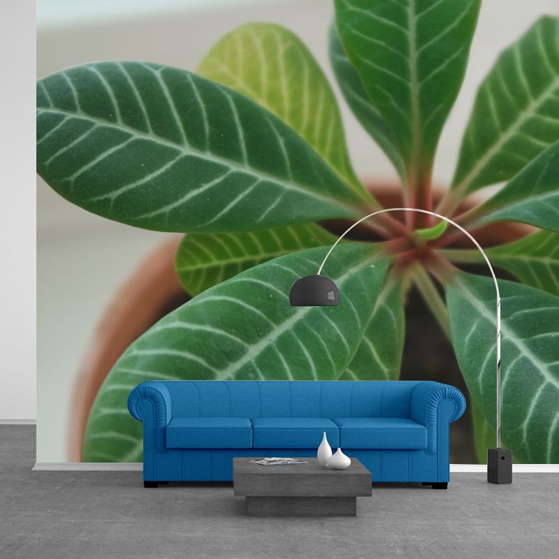 Modern Living Room Corridor Indoor Plants Wall Decor Water Resistant Mural