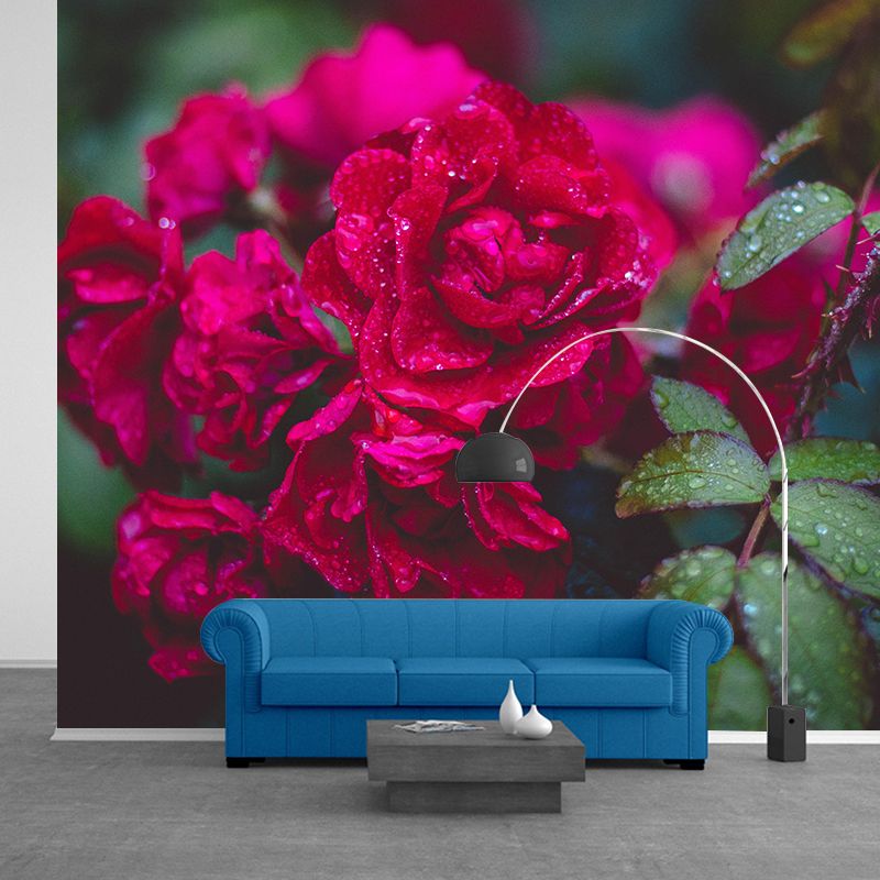 Elegant Rose Flower Photography Mural Environment Friendly Wallpaper for Girl's Bedroom