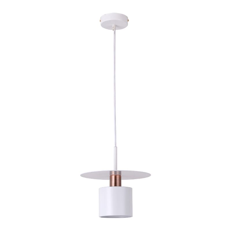 Metal Hanging Light Contemporary LED Pendant Light for Dining Room Sitting Room