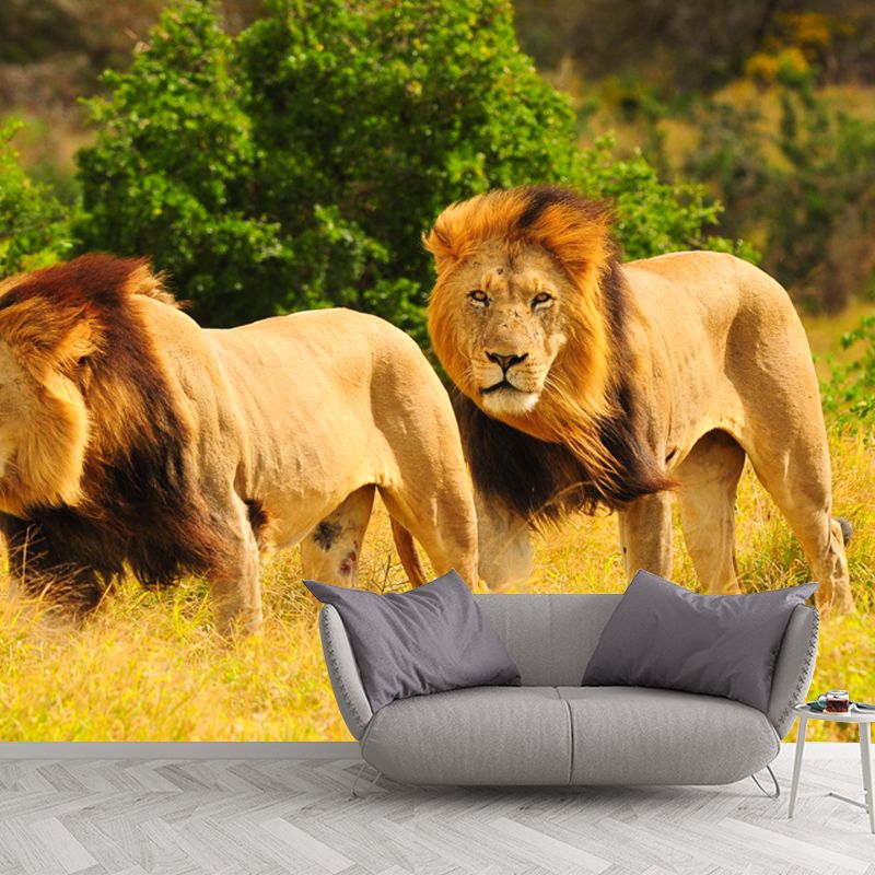 Yellow Lion Mural Wallpaper Moisture Resistant Modern Bedroom Wall Decor, Custom Size