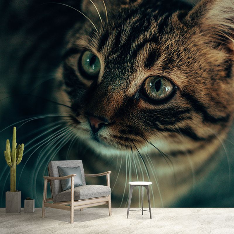 Cute Cats Mildew Resistant Mural Wallpaper Living Room Wall Mural
