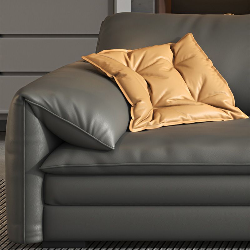 Stationary Stain Resistant Genuine Leather Pillow Top Arm Seating