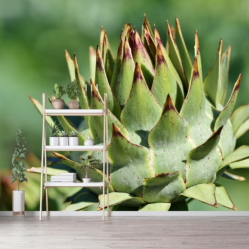 Artichoke Plant Removable Wall Mural for Reading Room, Water Resistant