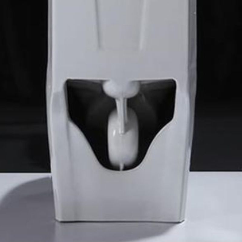 Contemporary Floor Mounted Toilet Seat Included Toilet Bowl for Bathroom