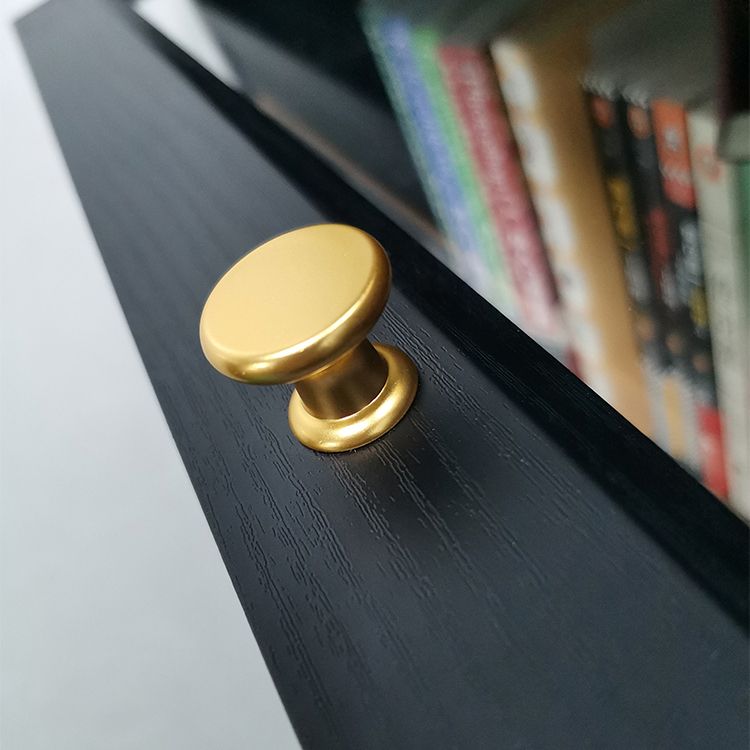 Modern Style Bookcase Standard Closed Back Wooden Bookshelf with Doors