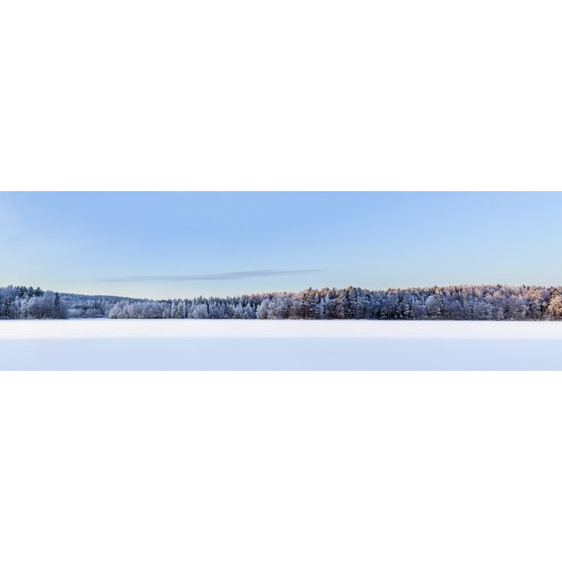 Snowy Forest Open Land Mural Modern Stain Resistant Bedroom Wall Art, Custom Made