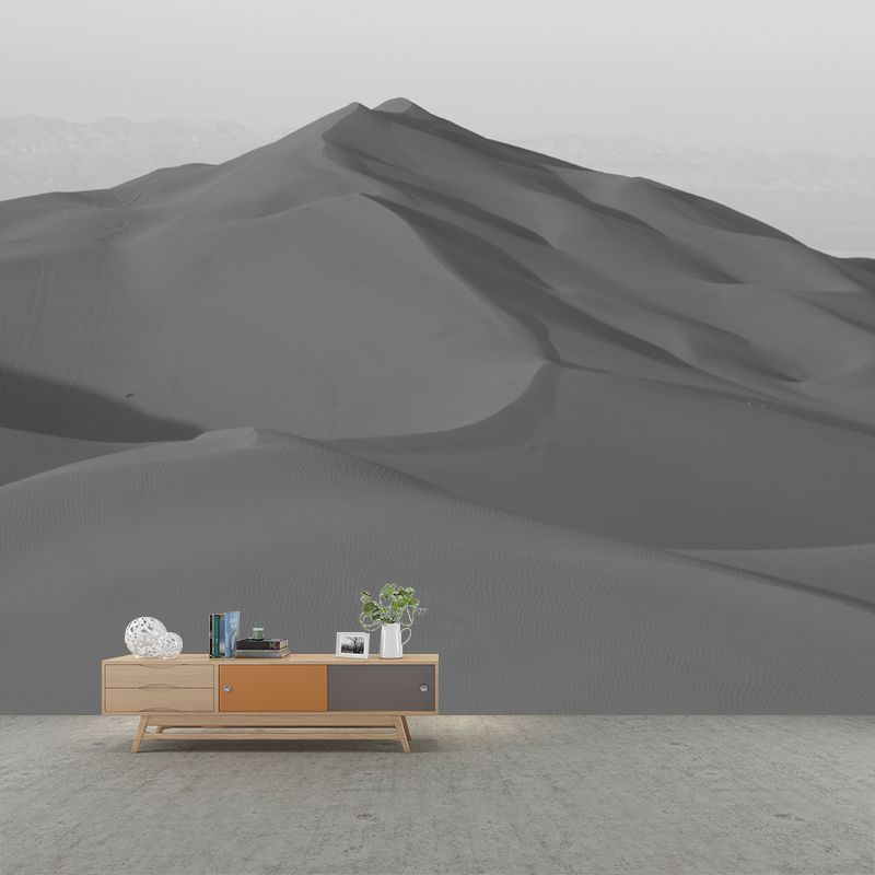 Grey Desert View Mural Stain Resistant Dining Room Wall Decor, Made to Measure