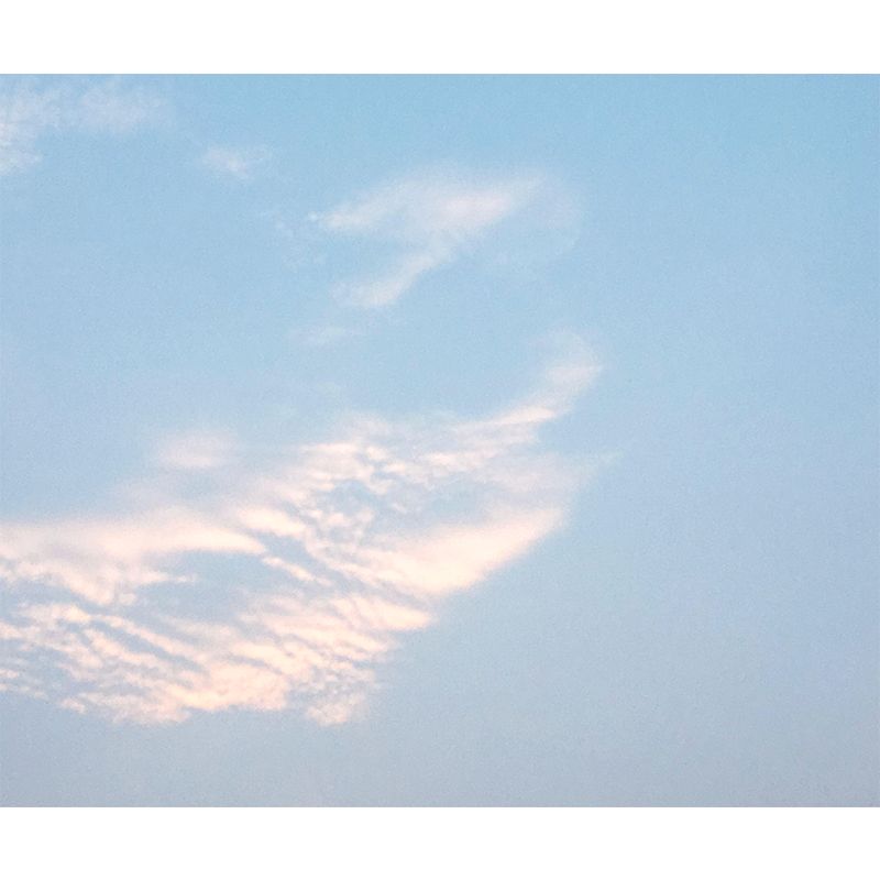 Fancy Scene Style Sky Wall Mural Wallpaper Photography Mildew Resistant Wall Art