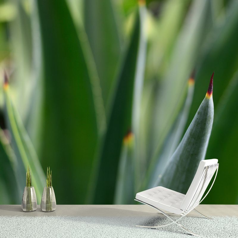 Green Aloe Vera Plant Wall Covering for Home Decoration, Moisture Resistant