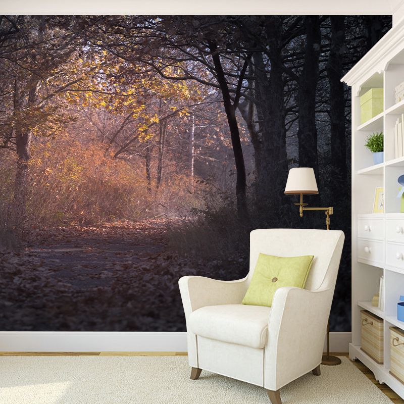 Environmental Forest Photography Wall Mural Living Room Wallpaper