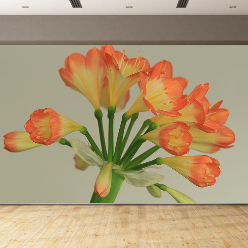 Clivia Flower  Blossing Mural Wallpaper Modern Wall Covering for Living Room