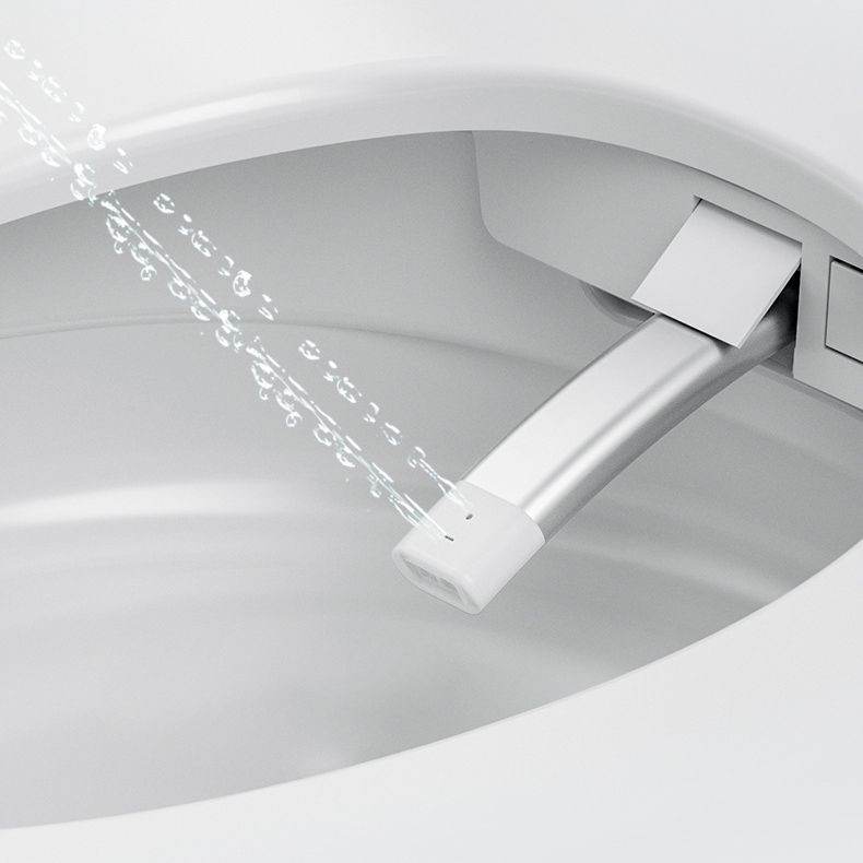 Contemporary 1-Piece Bidet Toilet Floor Mounted Round Toilet Bowl for Washroom