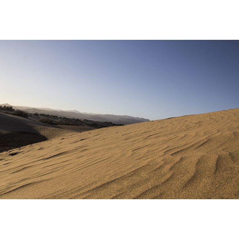 Desert Landscape Wall Decor for Gust Room Moisture Resistant, Custom Size Available